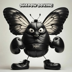 shadow boxing