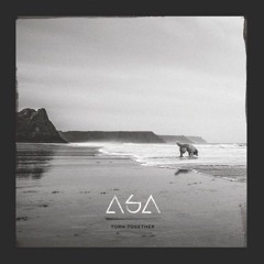 Asa - That Sinking Feeling ft. Sigrid Zeiner (Culprate Remix)