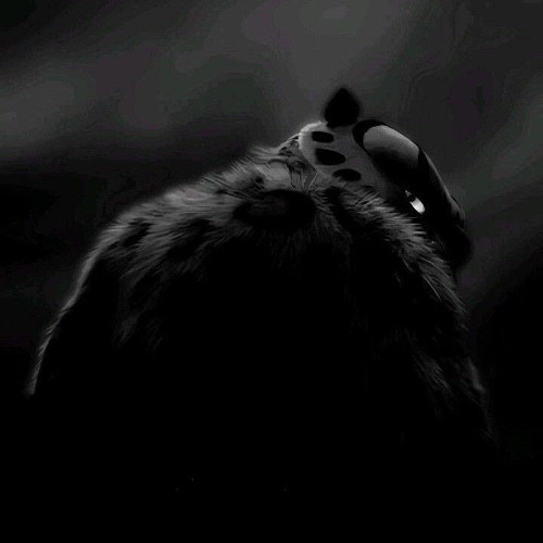 Take a Slice- Best Part (Ultra Slowed)