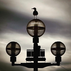 Waiting In The Wings