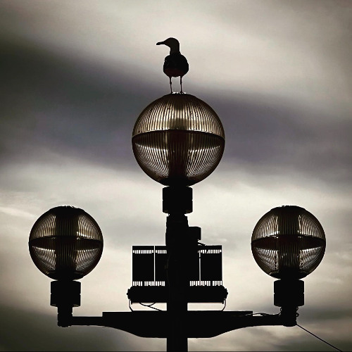 Waiting In The Wings