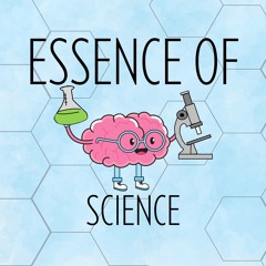 How The Human Brain Works - Essence of Science