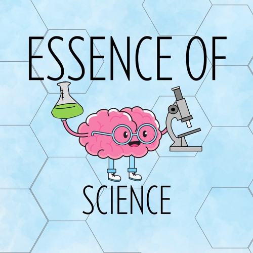 How The Human Brain Works - Essence of Science