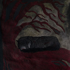 thirteen searchin 4 a oasis