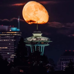 B2B Dropped yaaa pocket teaser