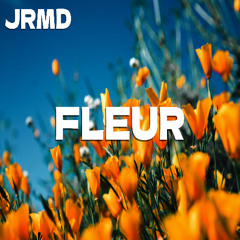 Fleur (Pop x Acoustic Guitar Type Beat)