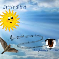 Little Bird SINGLE Radio Mix