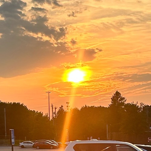 She’s like-Joshua Sloane