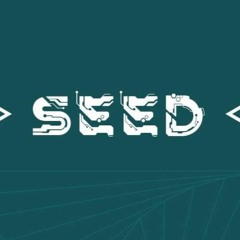 brojanowski at the seed stage / modem festival 2022 / chill out