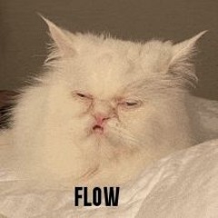 FLOW