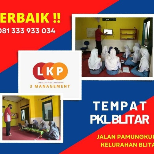 0813.3393.3034, Tempat Magang Untuk Mahasiswa Bisnis