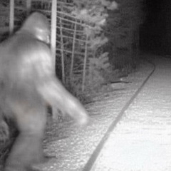 Bigfoot Interview w Chop