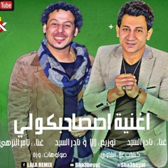 مهرجان اصاحبكوا ليه 2020 غناء تامر النزهى ونادر السيد كلمات علاءالشاوى صولاهات احمد وزه