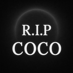 Coco ❤️.