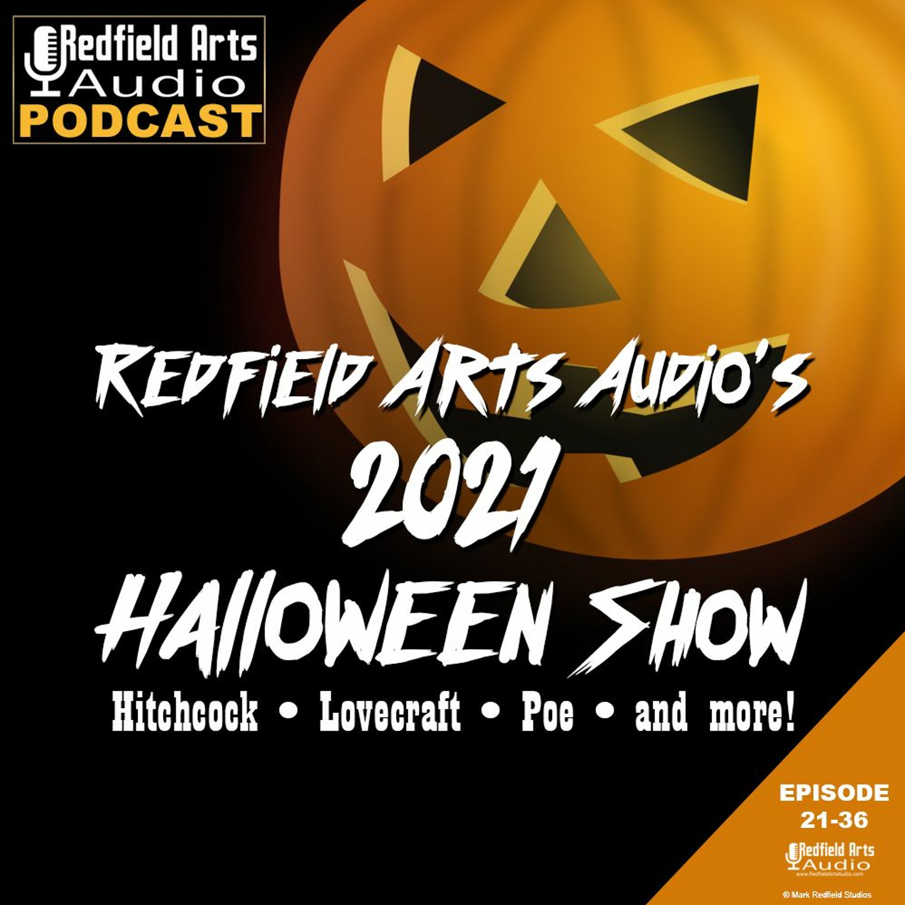Redfield Arts Audio