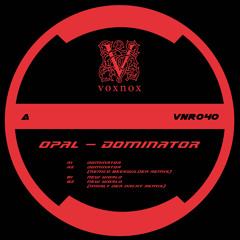 New World Order (Inhalt Der Nacht Remix)