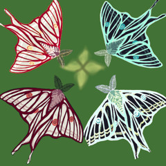 MothLife On The Rolandifer