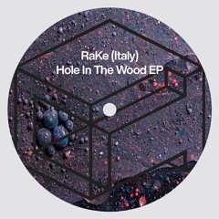 RaKe (Italy) - Light Blue Shine (Original Mix)
