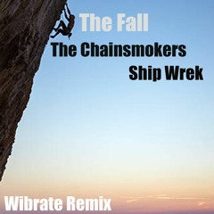 The Fall - The Chainsmokers & Ship Wreck (Wibrate Remix)