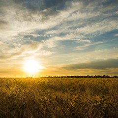 I GET EVERYTHING I WANT