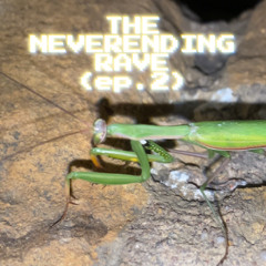 THE NEVERENDING RAVE mix (ep.2) - dj set