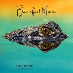 Crocodile  DIDGERIDOO //mystical Instrumental