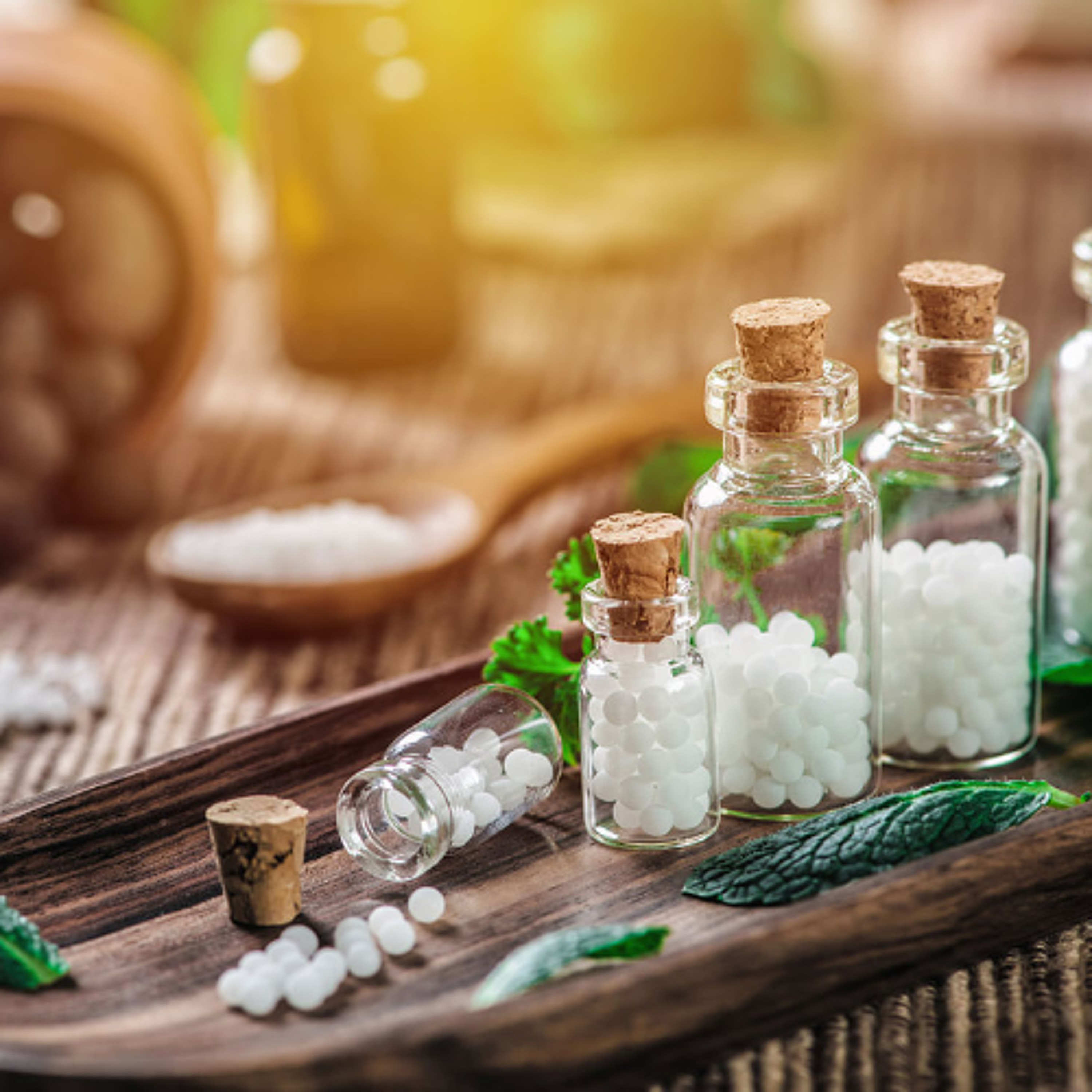 Parenting with a Gentle Touch: How Homeopathy Can Support Families | Dr Erica van Meygaarden