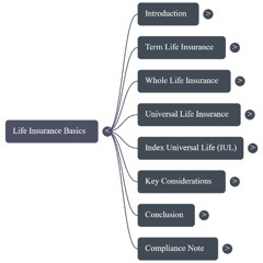 MP3_Beyond_the_Jargon__Your_Guide_to_Understanding_the_4_Types_of_Life_Insurance