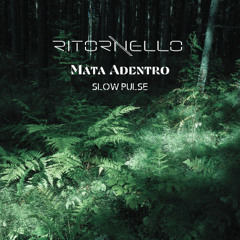 Mata Adentro (Slow Pulse)