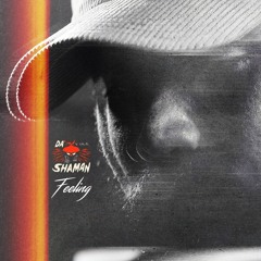 Da Shaman - Feelings