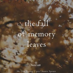 The fall of memory [naviarhaiku463]