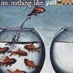 Untitled playlist