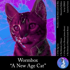 Wormbox - A New Age Cat (Thomass Jackson Remix)