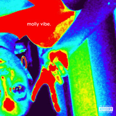 molly vibe