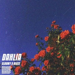 DAHLIAW/GLOOMY