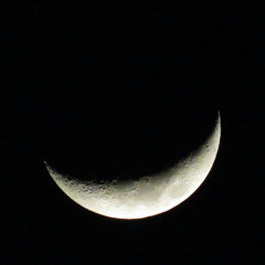 Cradle of the Moon