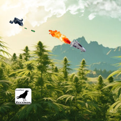 Estrellas en la mano w/OgBoom