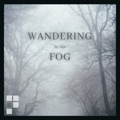 Wandering In The Fog
