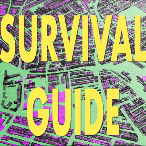 SURVIVAL GUIDE #14: Everybody is Complicit