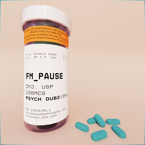 FM Pause - Grounded