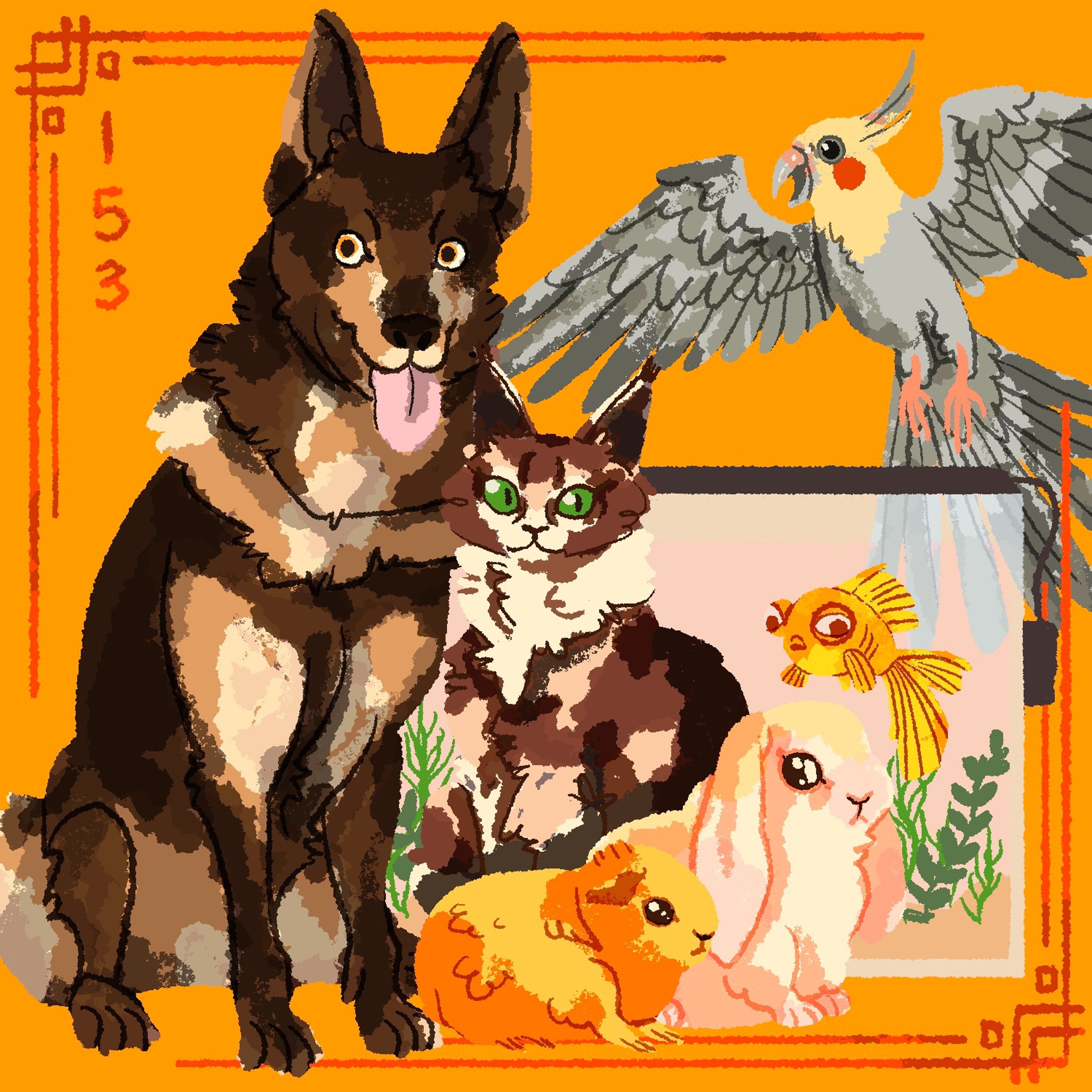 Top desítka domácích mazlíčků