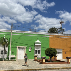 EL centruki Set Orgánico