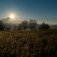 Self-Care Tape: Blissful Awakening & Cheerful Wobbling