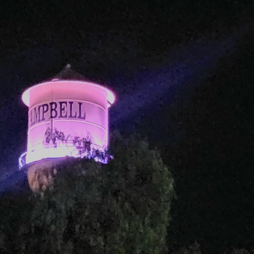 SKEST X TGWOG X 4ESTFLXR