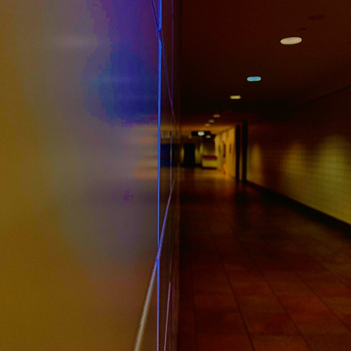 Hide