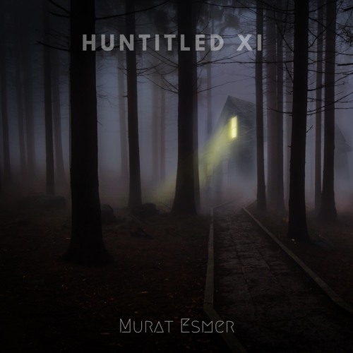 Huntitled I