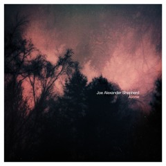 Joe Alexander Shepherd - Alone