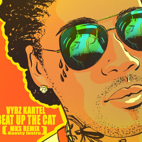 VYBZ KARTEL - BEAT UP THE CAT - BOASTY (MASH-UP REMIX)