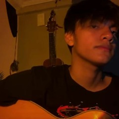 set fire to the rain - cover by aaron rebustes