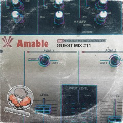 Guest Mix #011: Amable